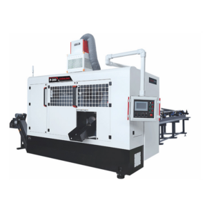 Chenlong P300
